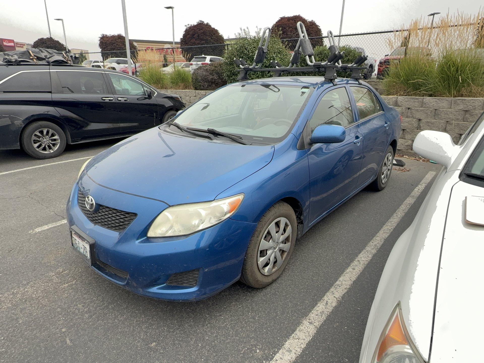 Used 2009 Toyota Corolla LE w/ All Weather Guard Pkg FWD image 3