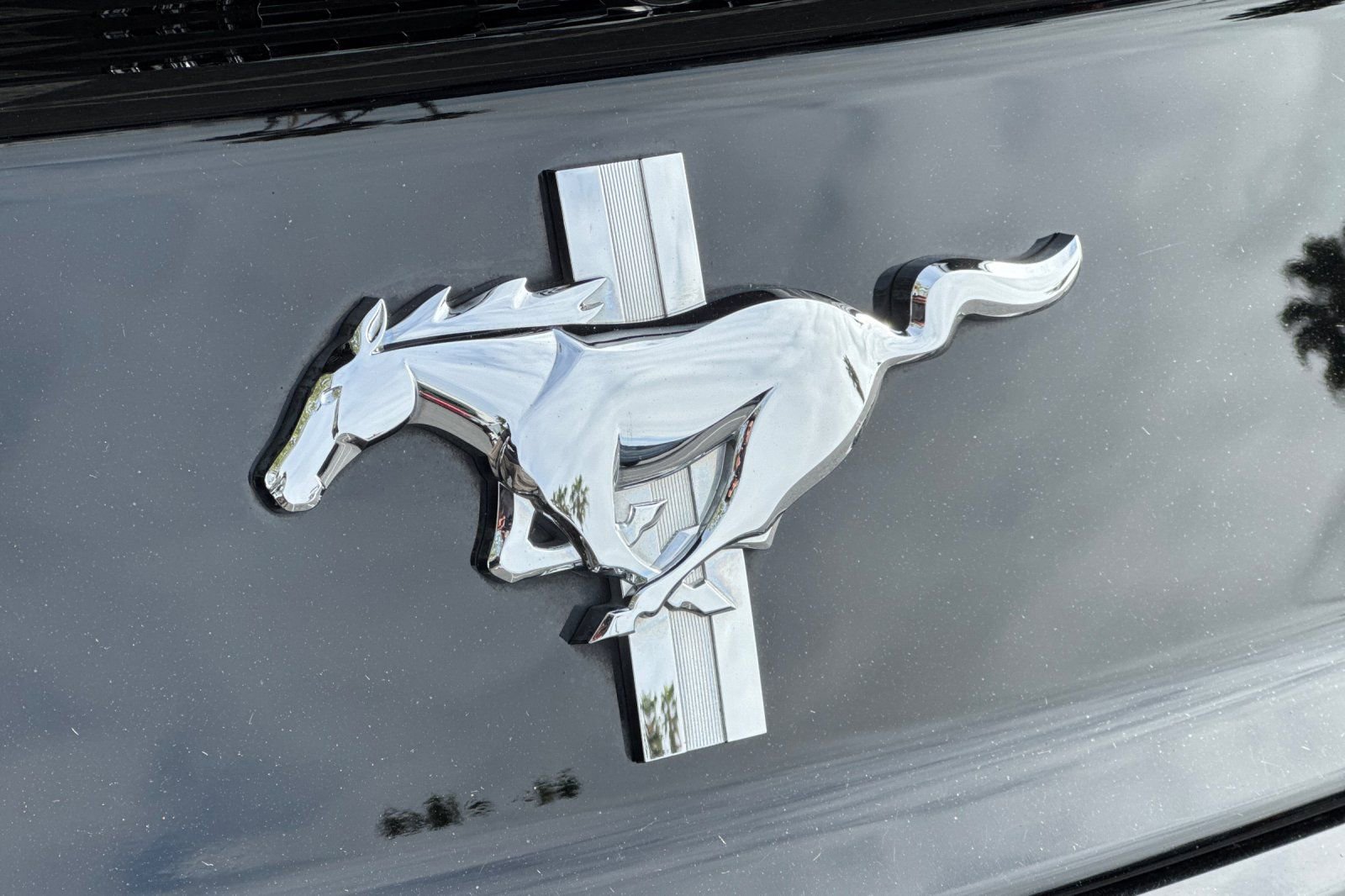 Used 2015 Ford Mustang Coupe w/ Equipment Group 051A image 22