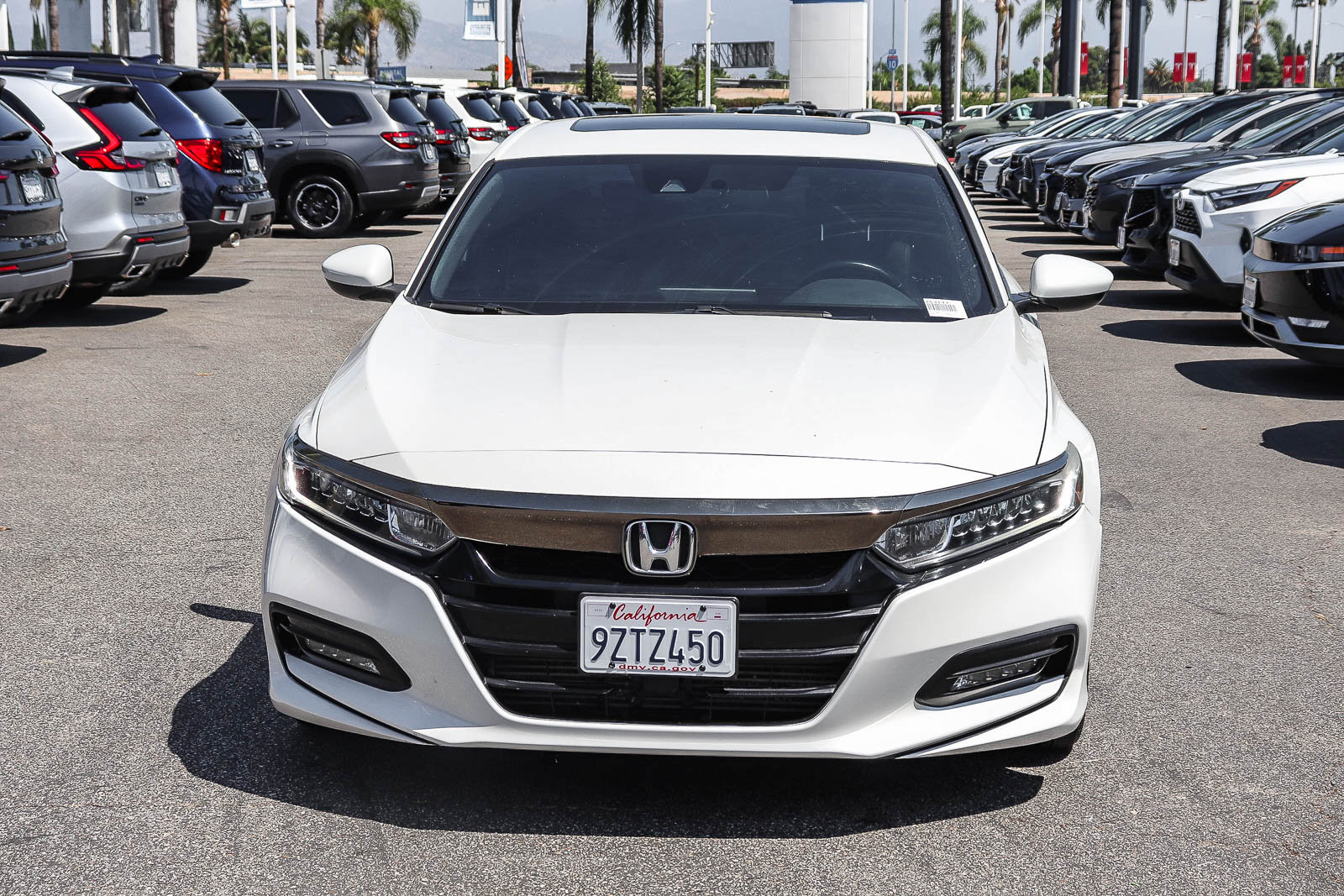 Used 2019 Honda Accord Sport image 2