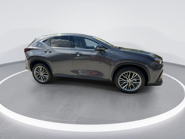Certified 2023 Lexus NX 350h AWD image 9