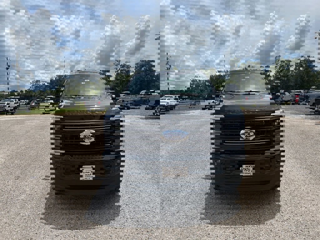 New 2025 Ford F250 Platinum image 3