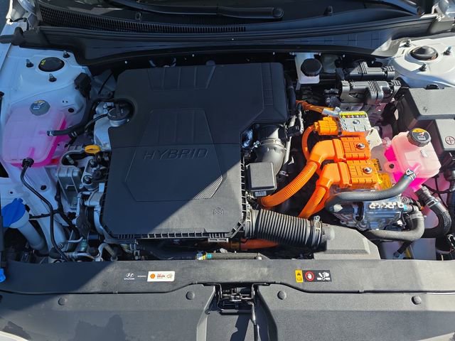 Certified 2025 Hyundai Elantra Blue image 42
