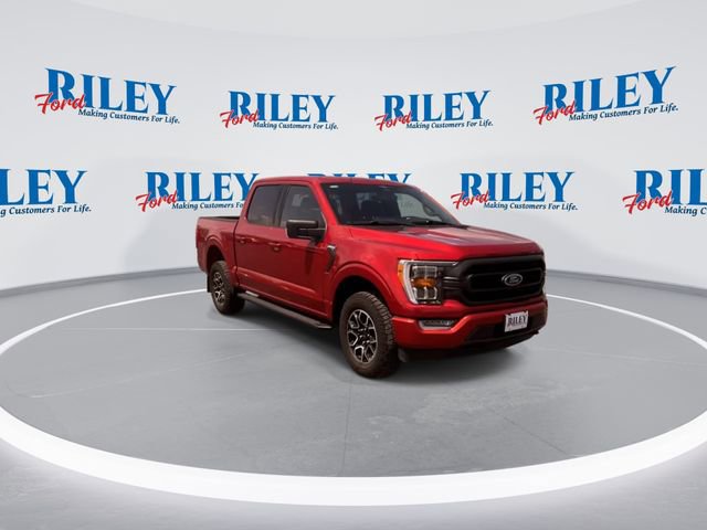 Used 2023 Ford F150 XLT w/ Equipment Group 302A High AWD/4WD image 2