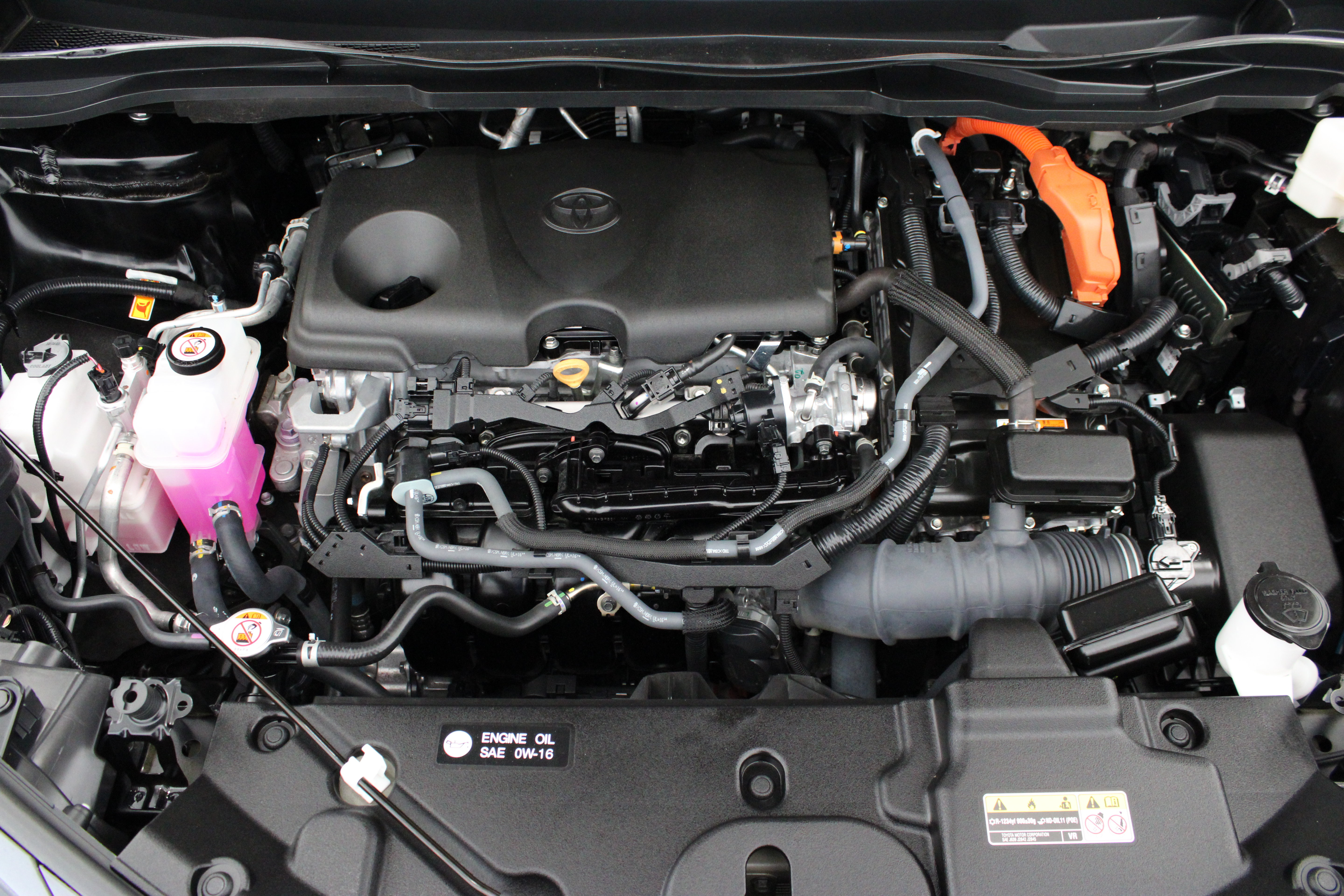 Certified 2025 Toyota Sienna XLE Woodland Edition AWD/4WD image 40