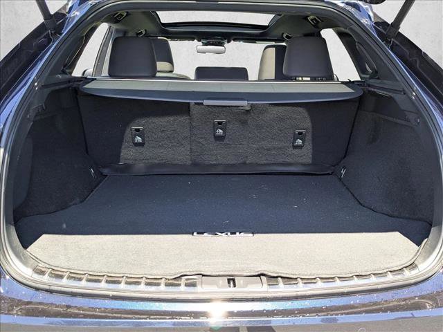Used 2023 Lexus RX 350 w/ Cold Area Package image 6