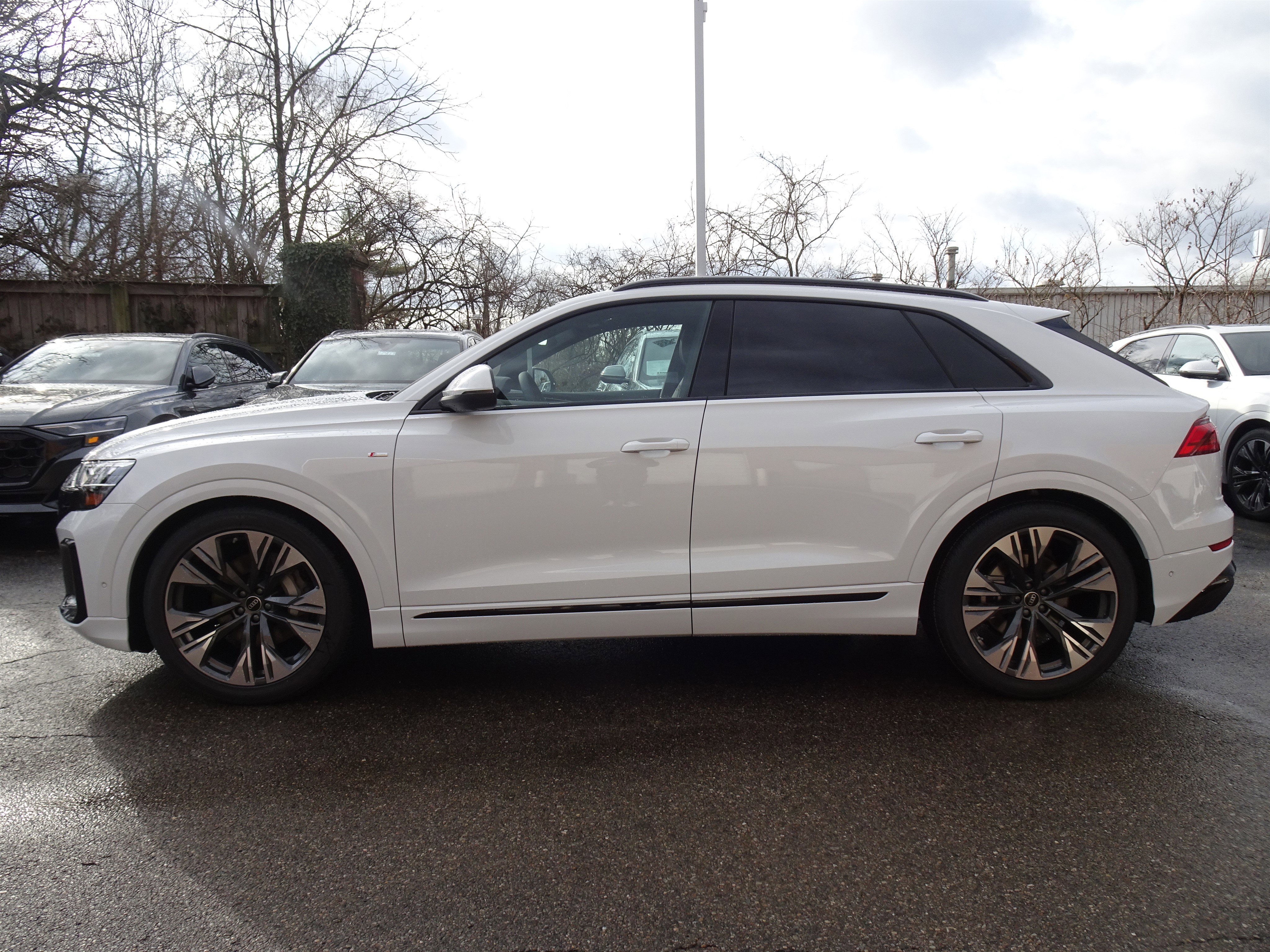 New 2026 Audi Q8 Premium Plus image 2