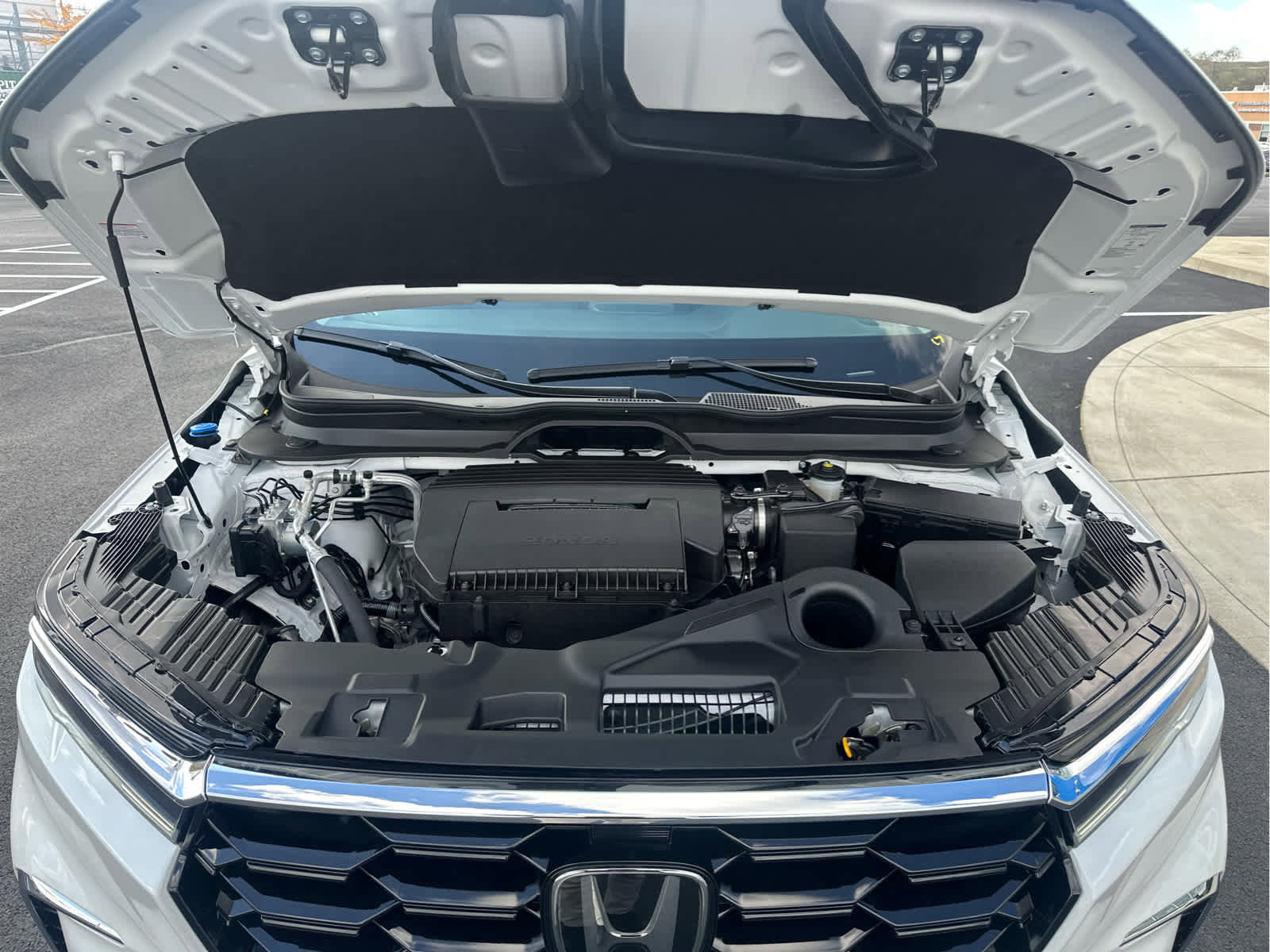 New 2025 Honda Pilot Touring image 19