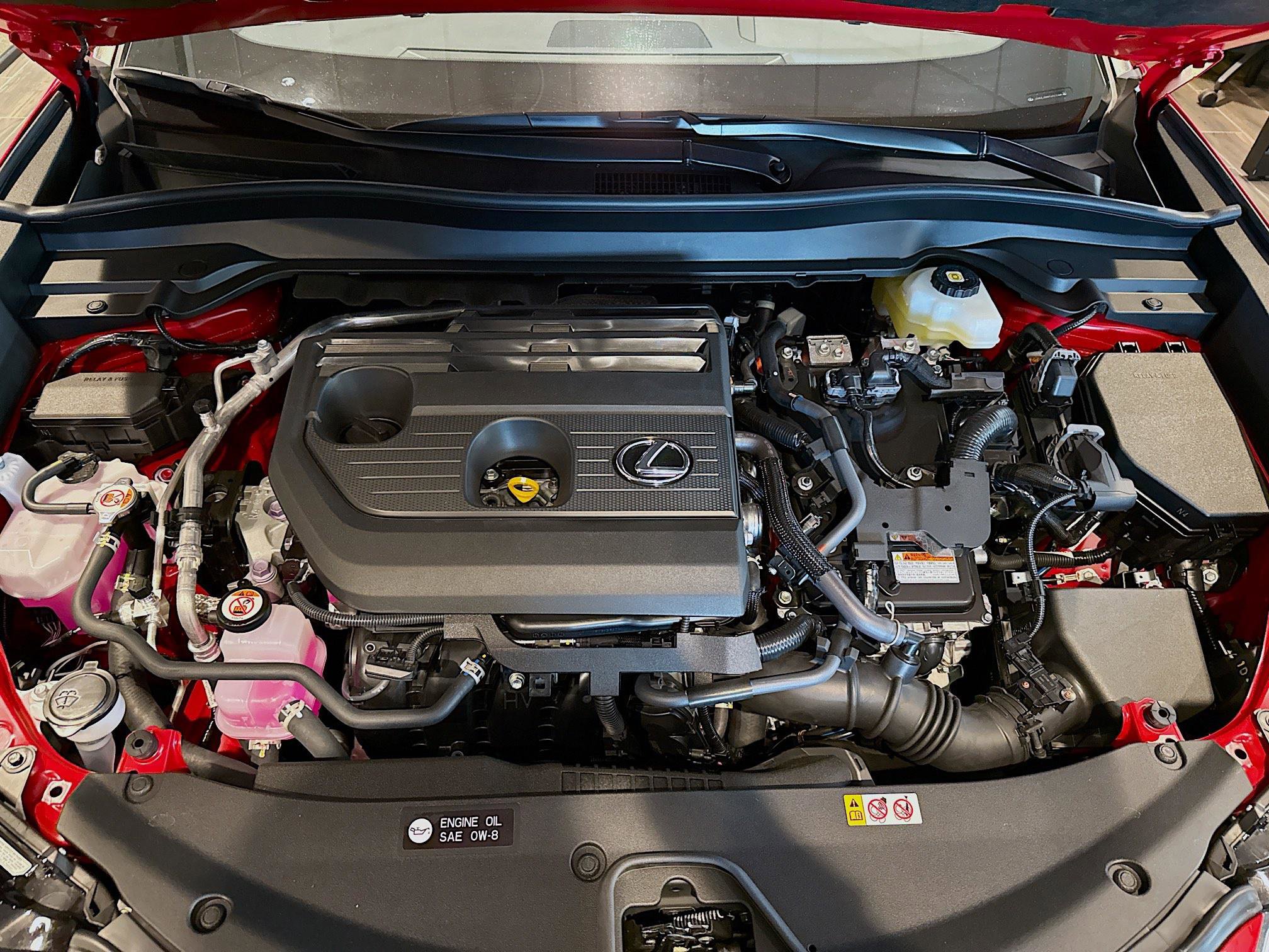 New 2025 Lexus UX 300h AWD w/ Cold Area Package image 19