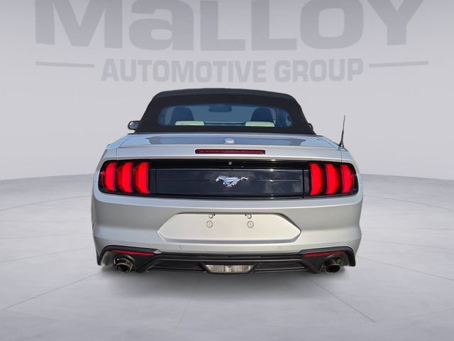 Used 2019 Ford Mustang Premium RWD image 4