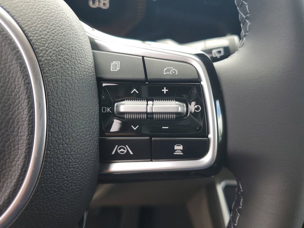 New 2026 Kia Carnival image 12