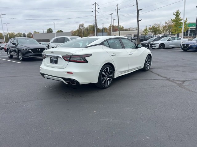 Used 2023 Nissan Maxima SV w/ Floor Mat Group image 8