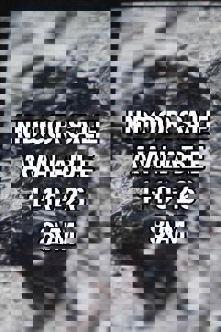 Used 2004 Toyota RAV4 4d SUV FWD AT