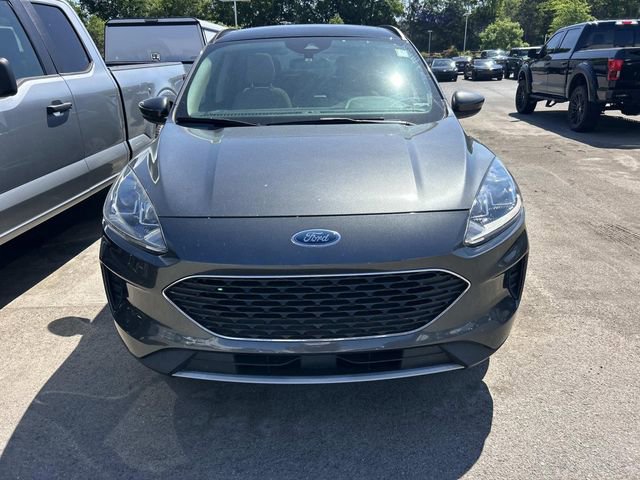 Used 2020 Ford Escape SE FWD image 2