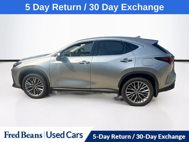 Used 2025 Lexus NX 350h AWD w/ Accessory Package (2T) image 5