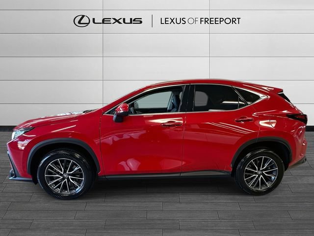 Used 2025 Lexus NX 350 AWD w/ Cold Area Package image 6