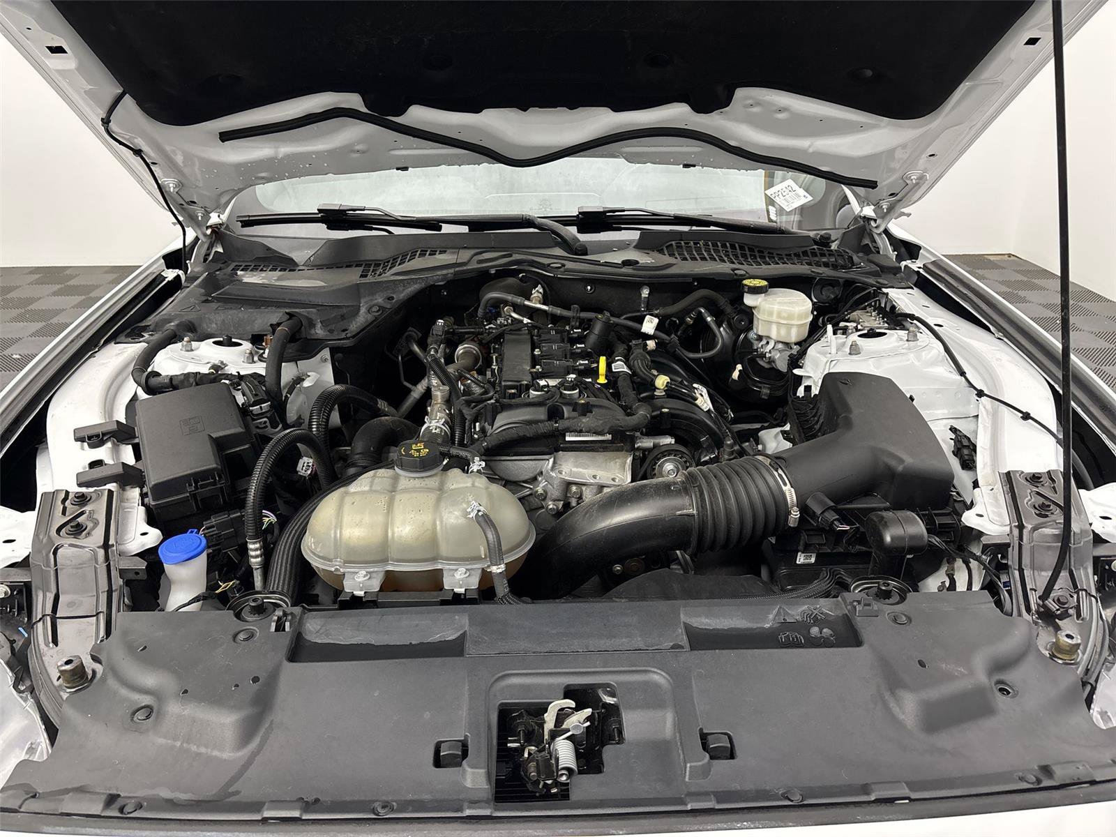 Used 2023 Ford Mustang Premium RWD image 20