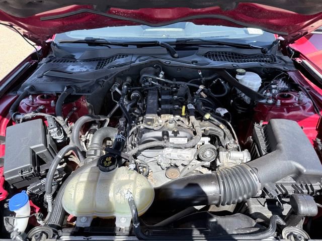 Used 2021 Ford Mustang Convertible w/ Equipment Group 101A RWD image 17