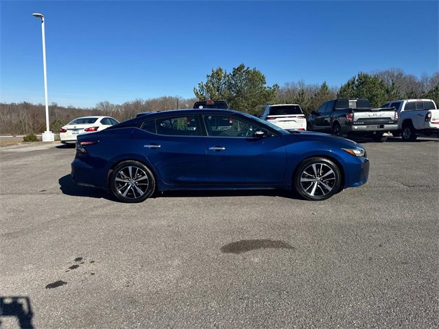 Used 2023 Nissan Maxima SL image 3