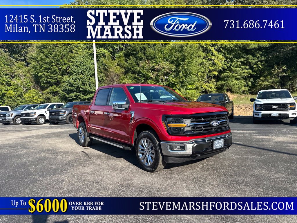 Used 2024 Ford F150 XLT w/ Equipment Group 302A MID