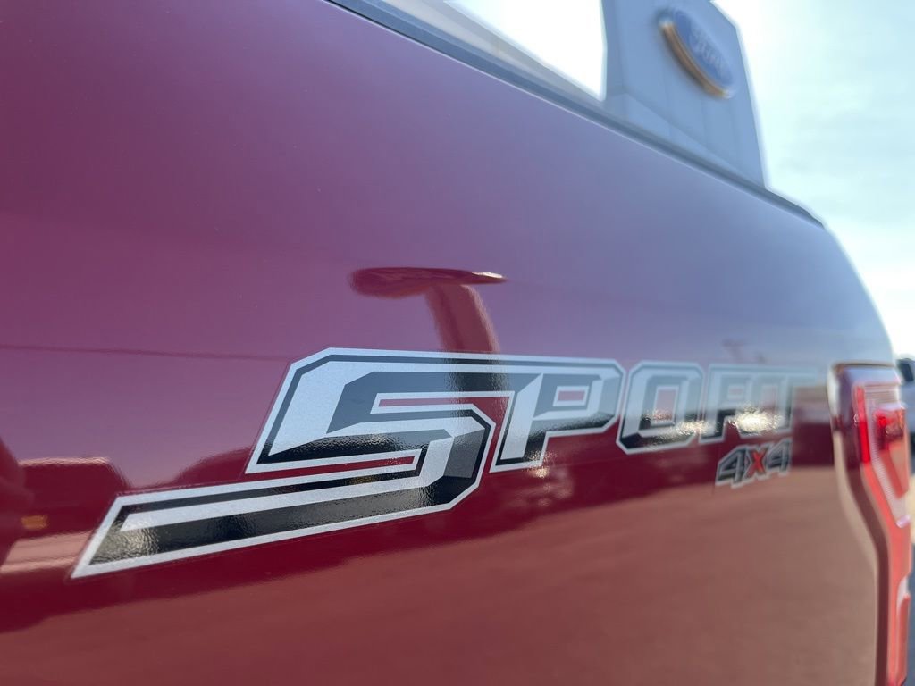 Used 2019 Ford F150 XLT w/ Equipment Group 302A Luxury image 13
