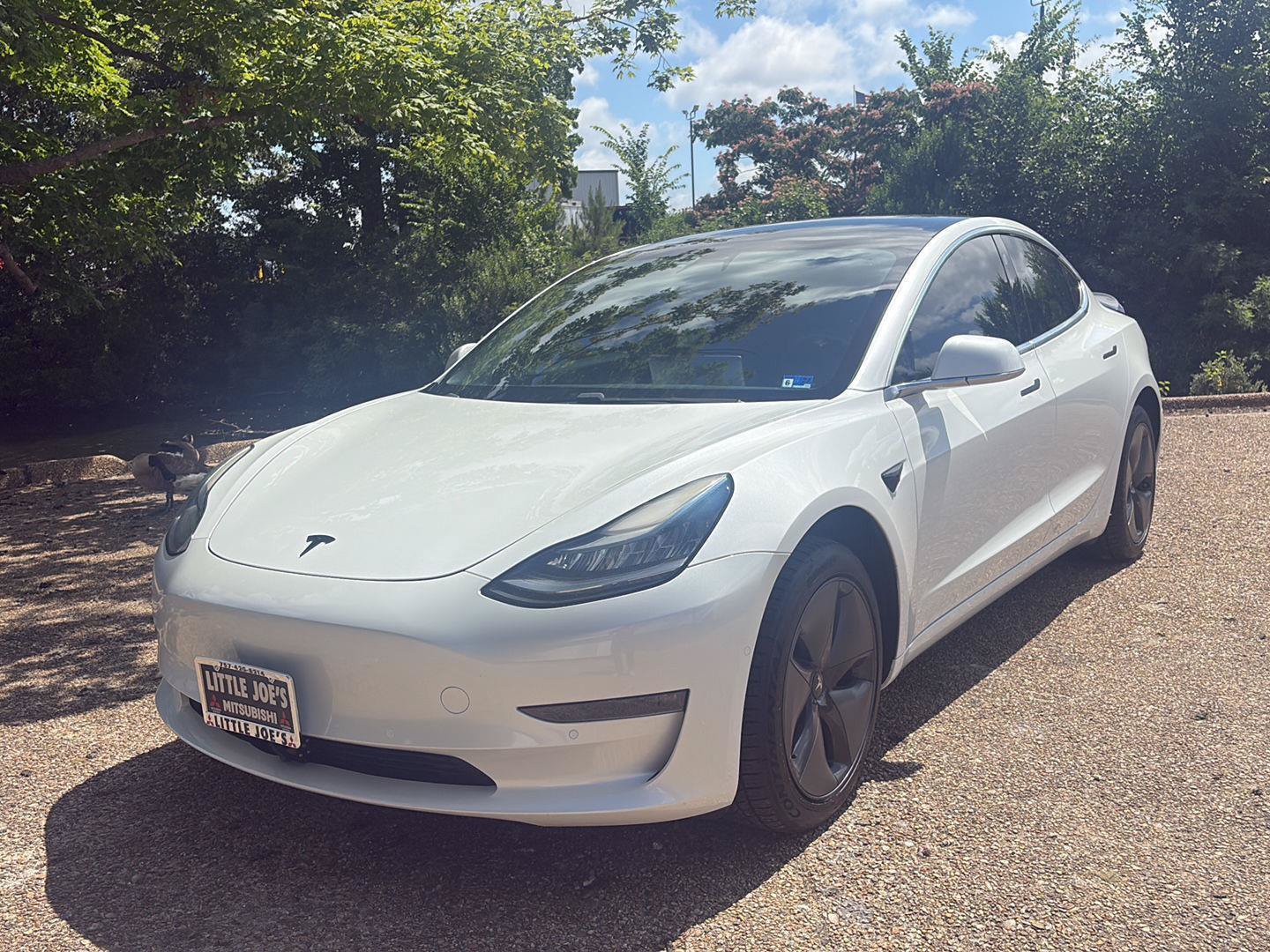 Used 2019 Tesla Model 3 Standard Range RWD image 11