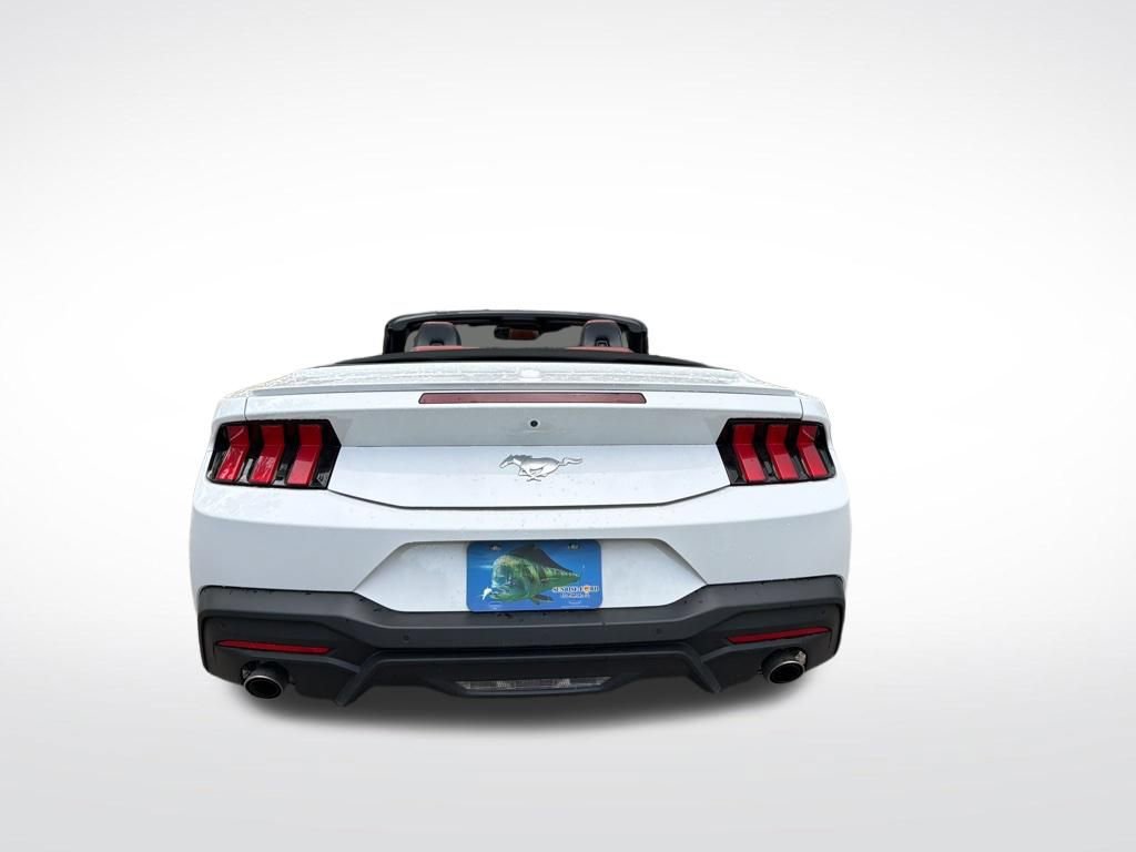 Used 2024 Ford Mustang Premium RWD image 7