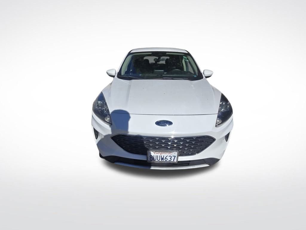 Used 2020 Ford Escape SE image 3