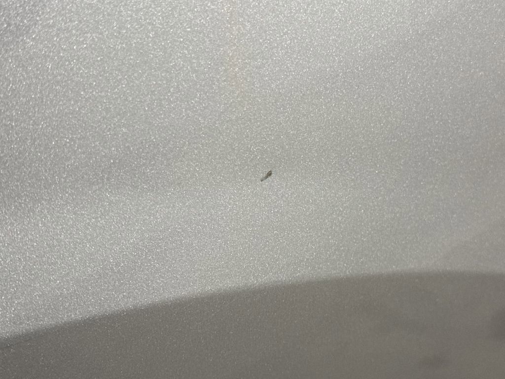 Used 2016 Chevrolet Traverse LS FWD image 29