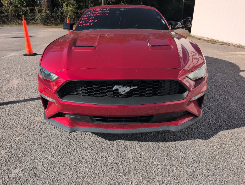 Used 2022 Ford Mustang Coupe w/ Equipment Group 101A RWD image 2