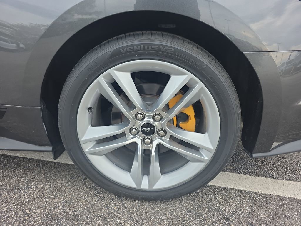 Certified 2019 Ford Mustang Premium w/ Equipment Group 201A RWD image 13