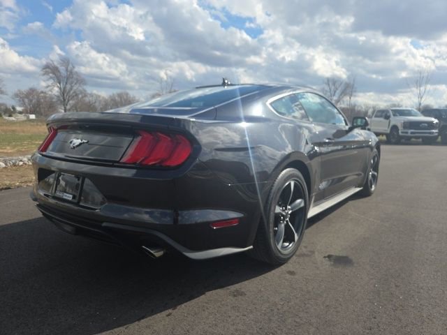 Certified 2023 Ford Mustang EcoBoost w/ Equipment Group 101A image 10