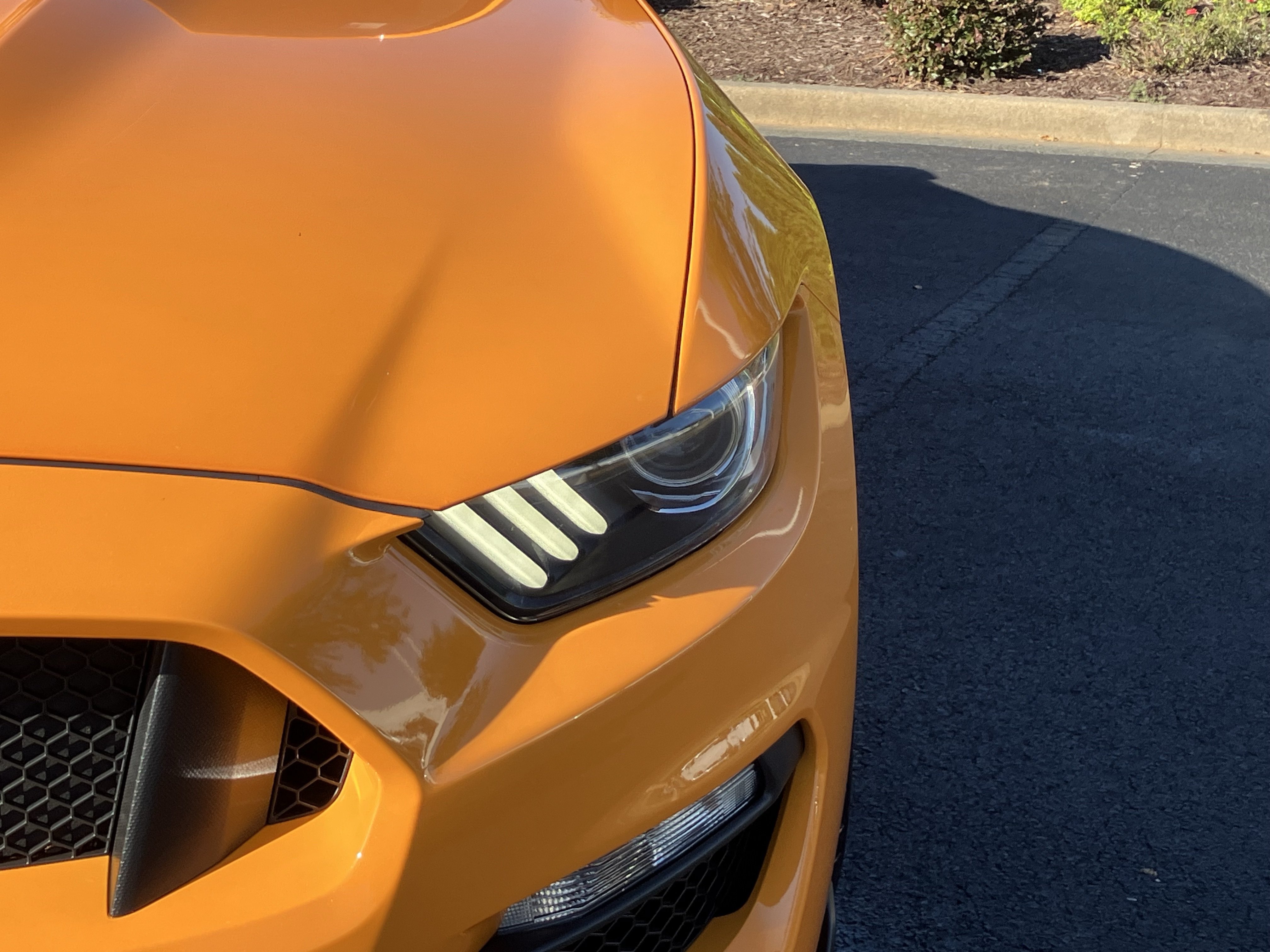 Used 2018 Ford Mustang Shelby GT350 w/ Convenience Package RWD image 5