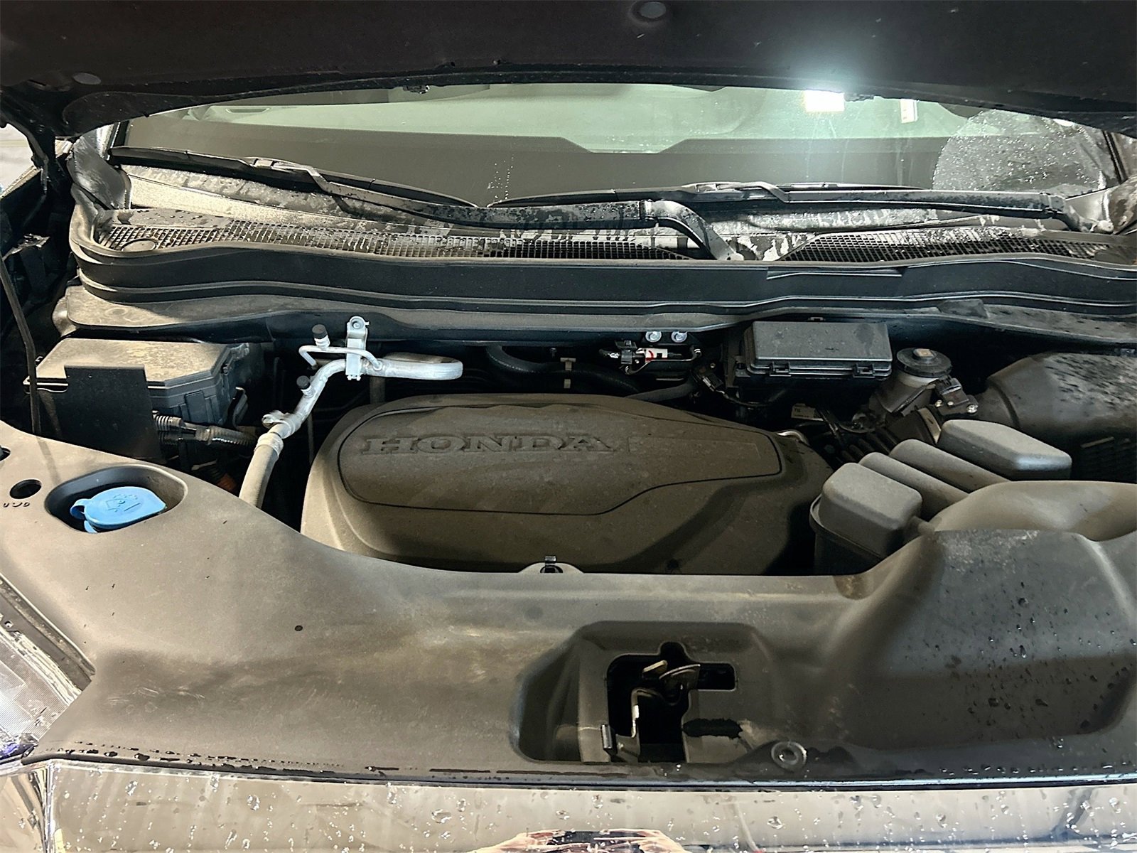 Used 2025 Honda Passport EX-L image 31