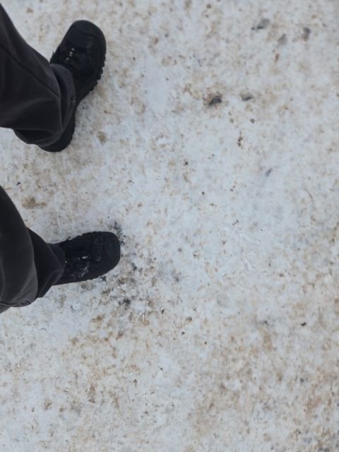 Used 2015 Ford F150 XLT w/ Equipment Group 302A Luxury image 8