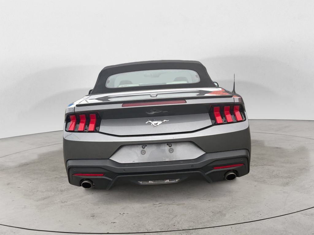 Used 2024 Ford Mustang Premium RWD image 4