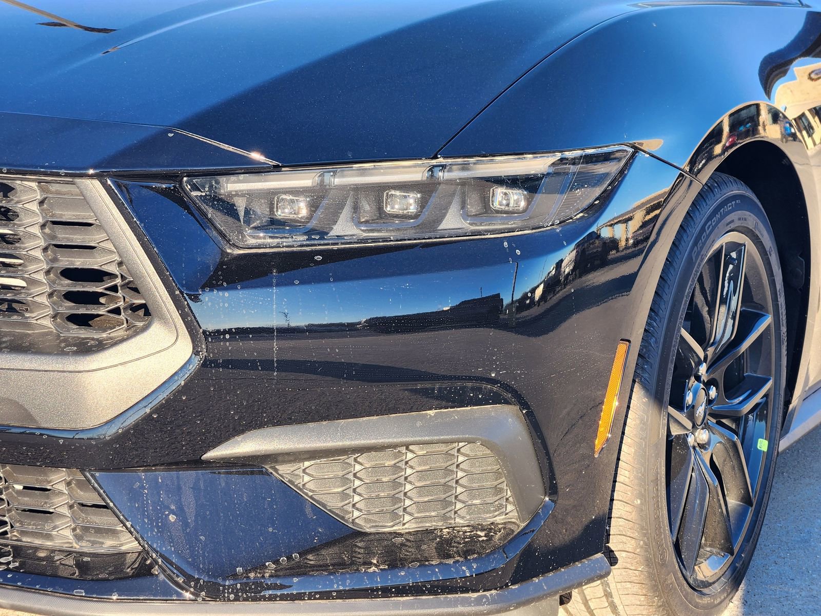 New 2026 Ford Mustang Coupe w/ Mustang Nite Pony Package image 10