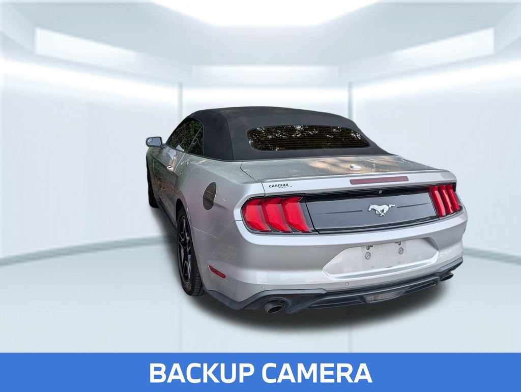 Used 2019 Ford Mustang Premium RWD image 2