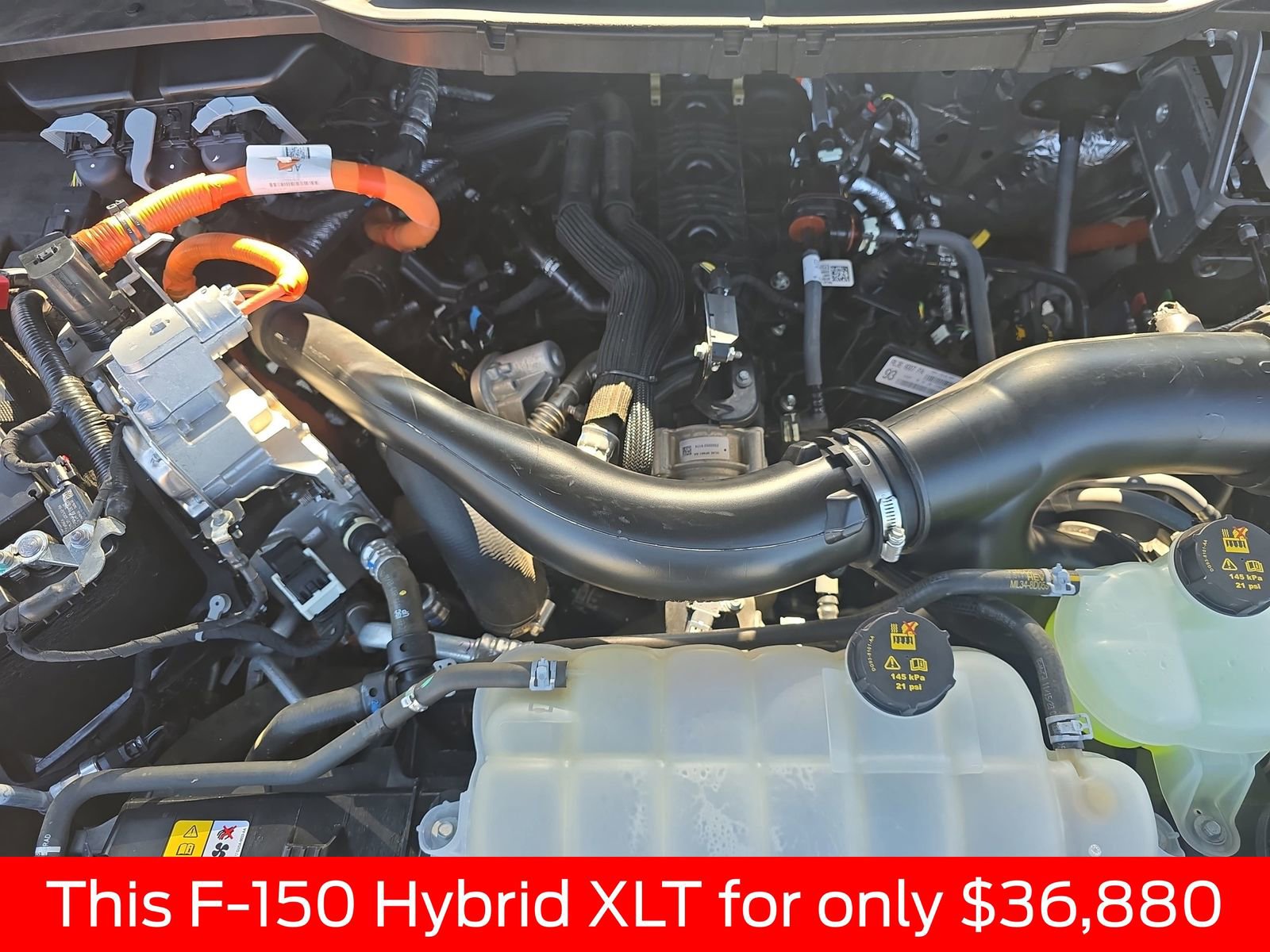 Used 2024 Ford F150 XLT w/ Mobile Office Package image 36