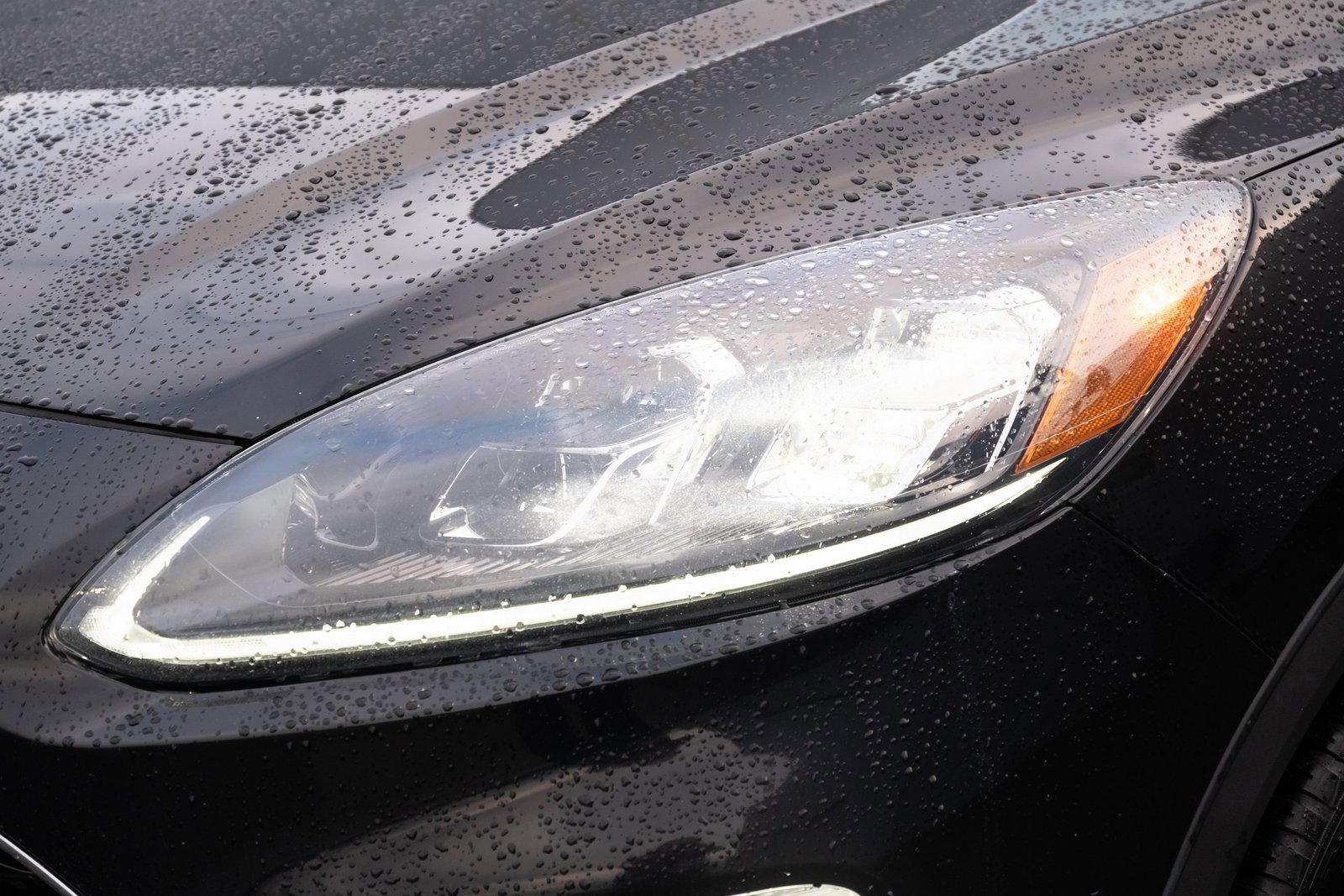 Used 2021 Ford Escape Titanium image 23