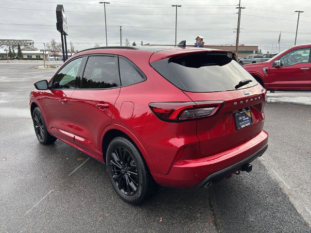 Certified 2025 Ford Escape ST-Line Elite w/ Class II Trailer Tow Package image 5