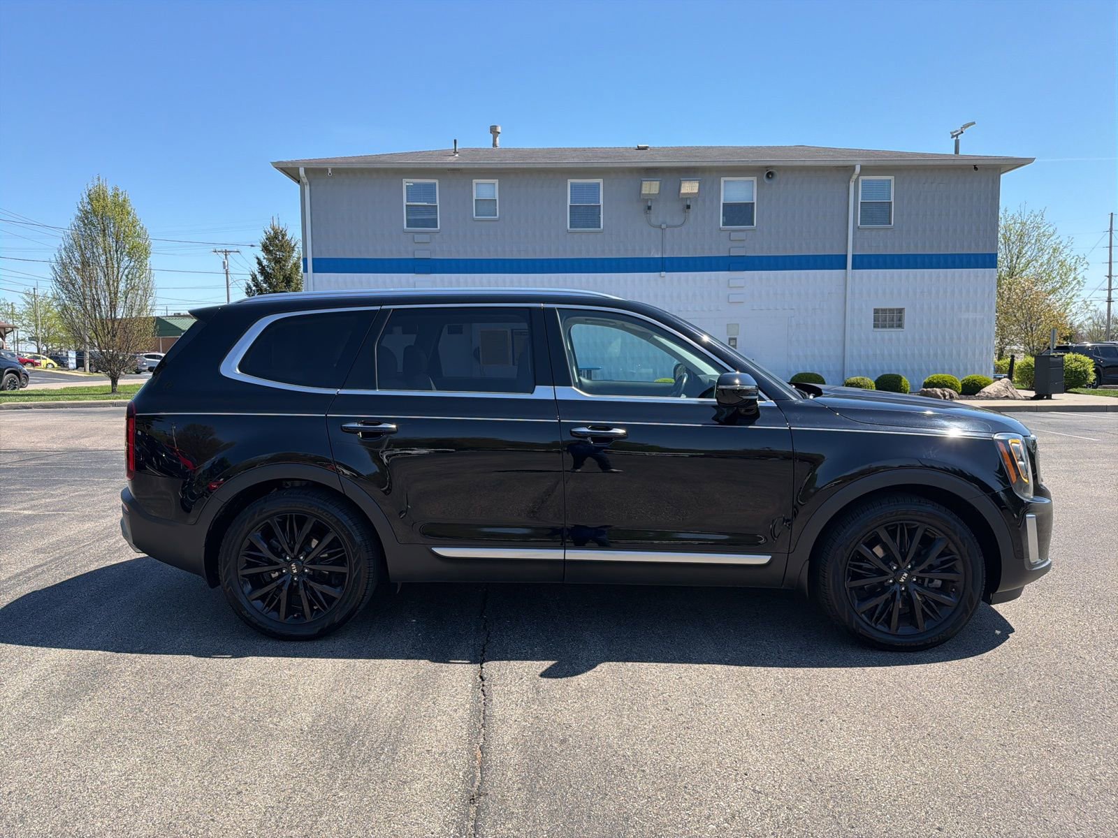 Used 2021 Kia Telluride SX w/ SX Prestige Package image 6