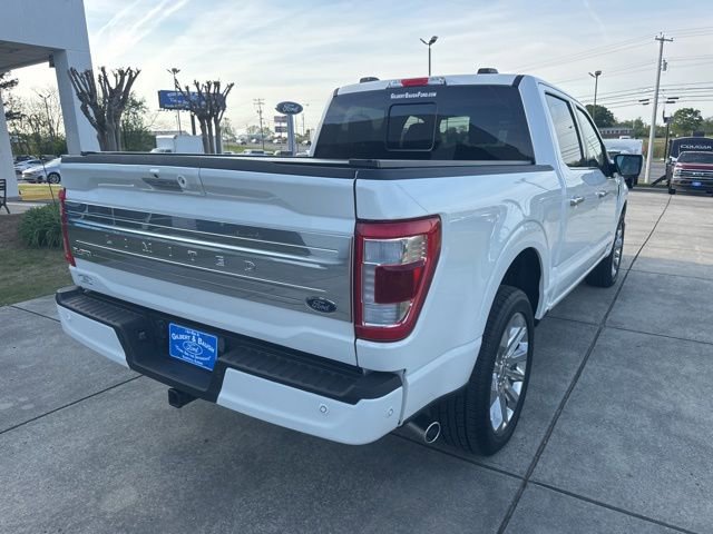 Used 2023 Ford F150 Limited image 7