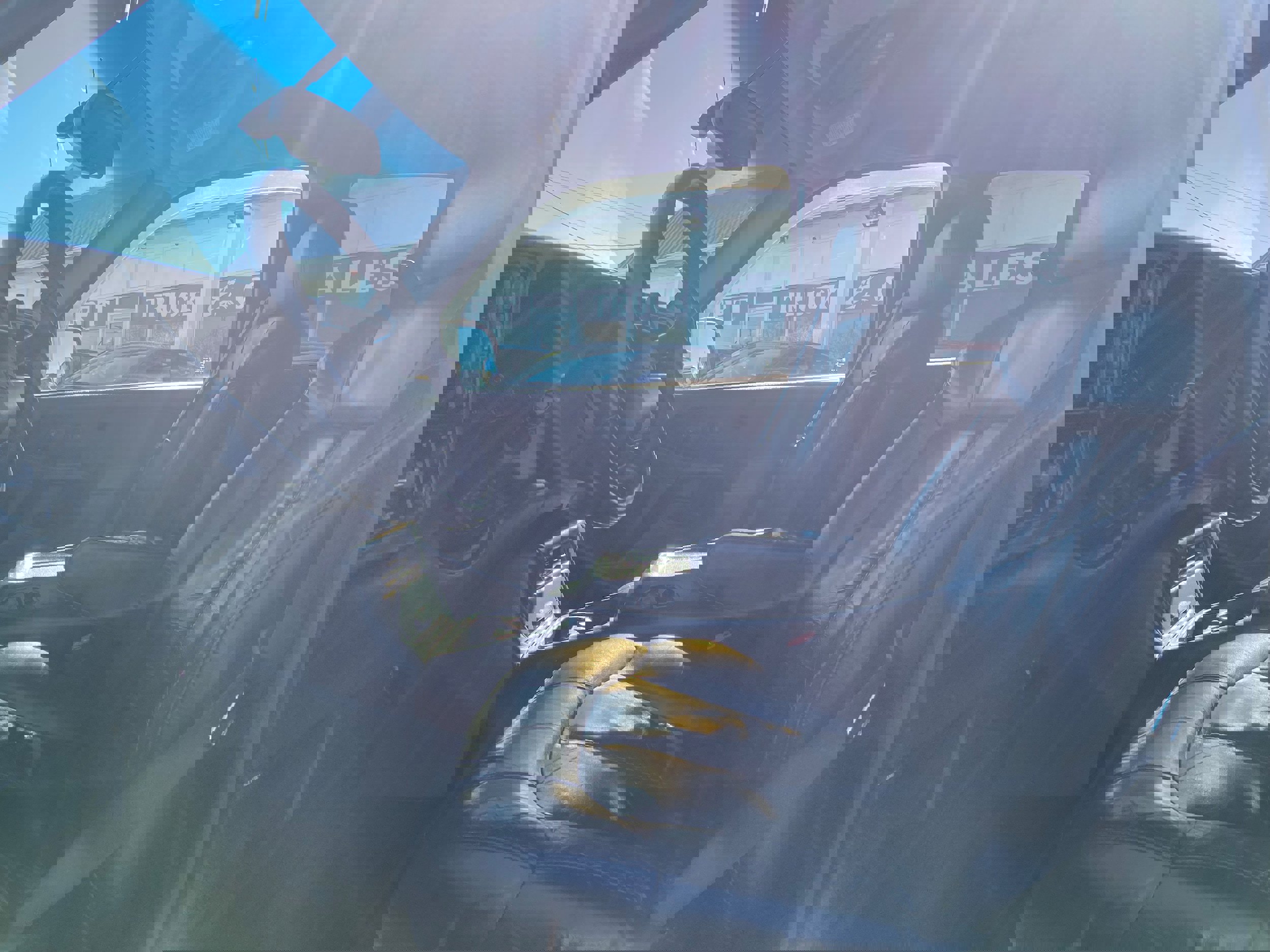 Used 2002 Chevrolet Silverado 1500 LT w/ Off-Road Pkg AWD/4WD image 9