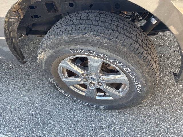 Used 2019 Ford F150 XLT w/ Equipment Group 302A Luxury AWD/4WD image 6
