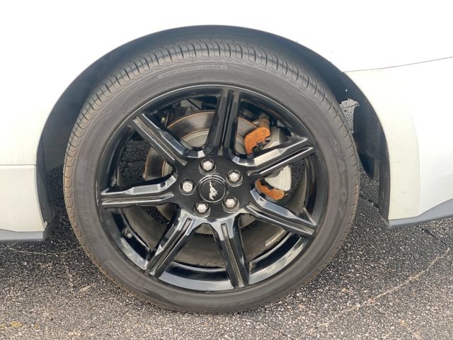 Used 2019 Ford Mustang Coupe w/ Equipment Group 101A RWD image 15
