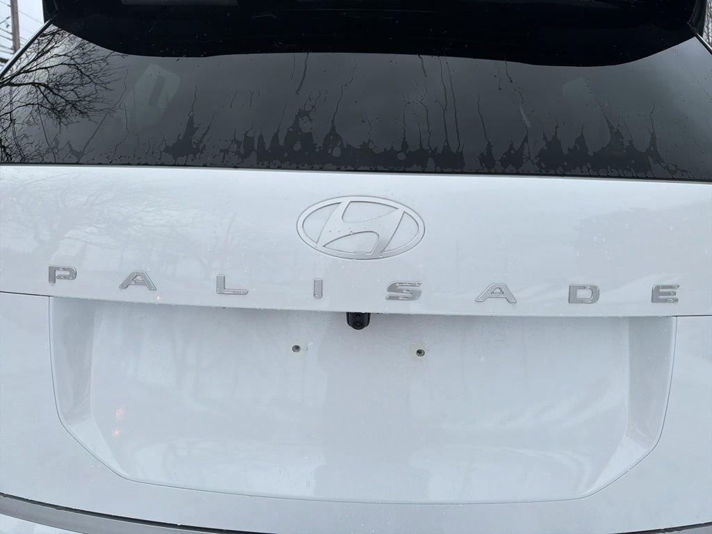 New 2026 Hyundai Palisade Calligraphy image 10