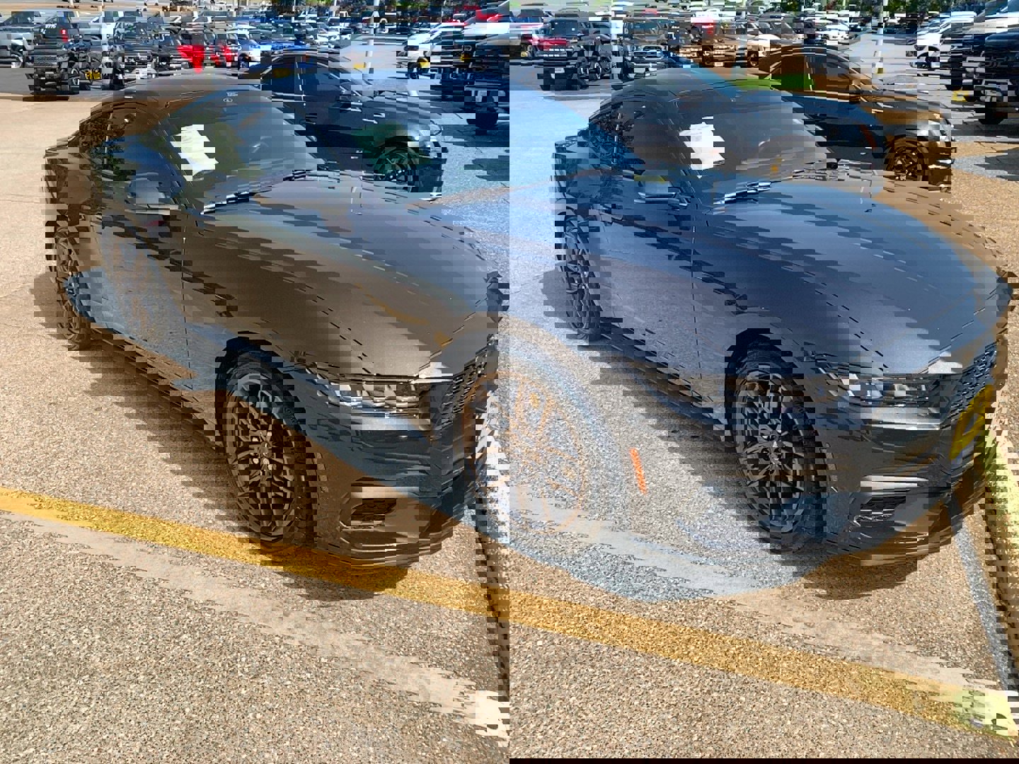 Used 2024 Ford Mustang Premium image 1