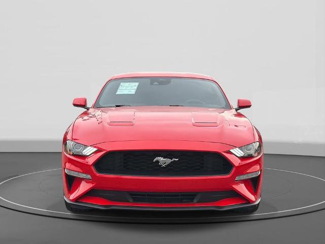 Certified 2022 Ford Mustang EcoBoost image 3