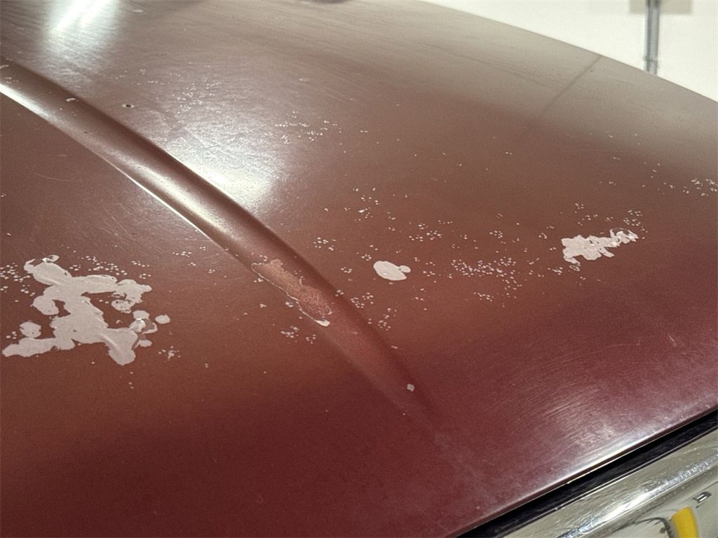 Used 2004 Ford F250 XL image 34