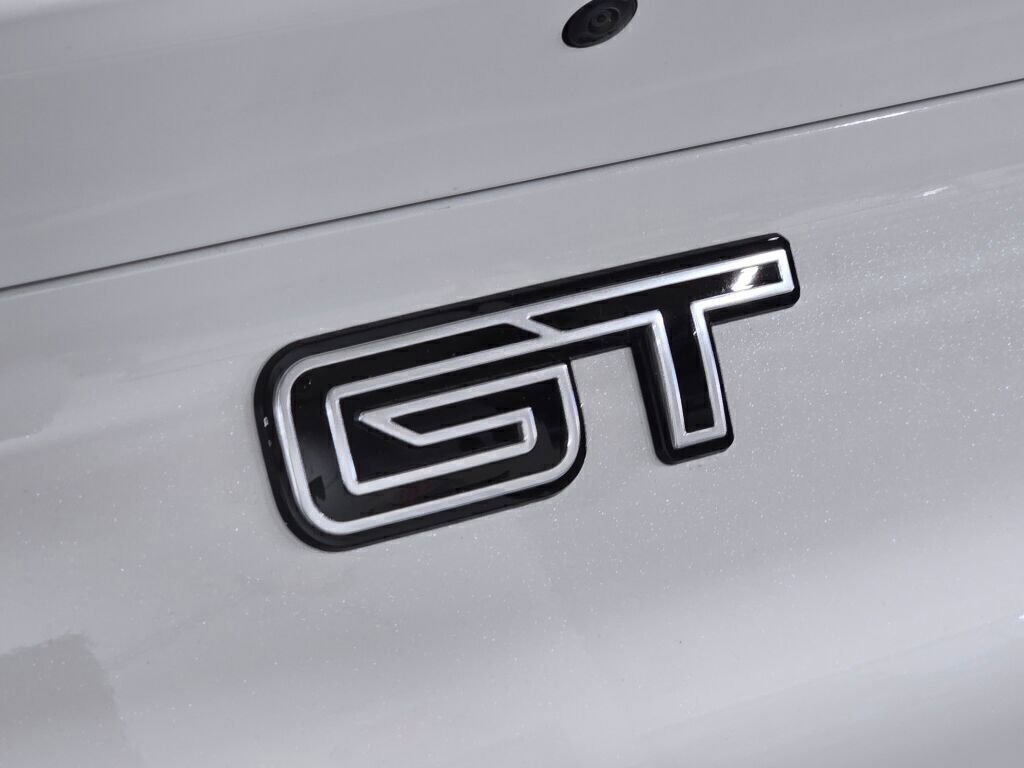 New 2025 Ford Mustang Mach-E GT w/ Interior Protection Package image 19